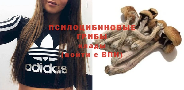 МДПВ Верхний Тагил