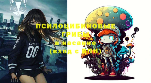 МДПВ Верхний Тагил