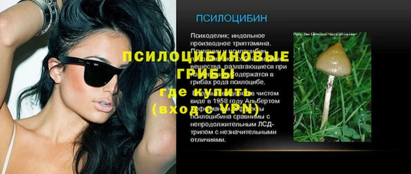 МДПВ Верхний Тагил