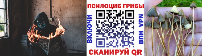Галлюциногенные грибы ЛСД  hydra tor  Владимир 